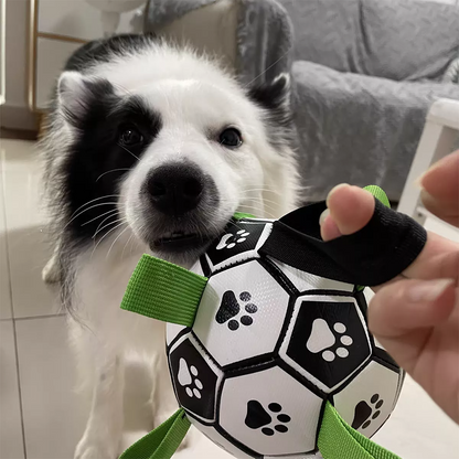 Soccer Ball For Dog